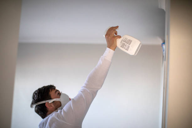 Best Attic Mold Removal  in Toquerville, UT