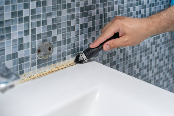 Best Mold Removal Near Me  in Toquerville, UT