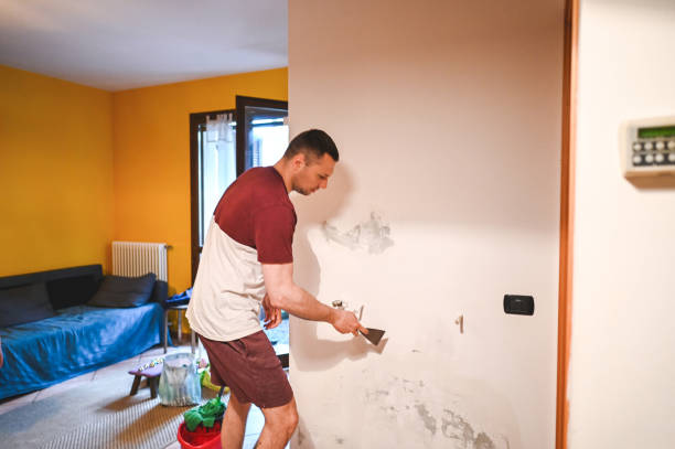 Best Mold Testing  in Toquerville, UT